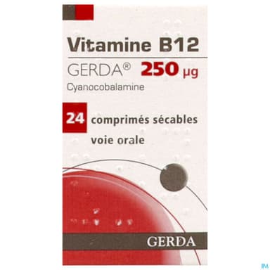 VIT B12 250MCG GERDA CPR SECABLE24