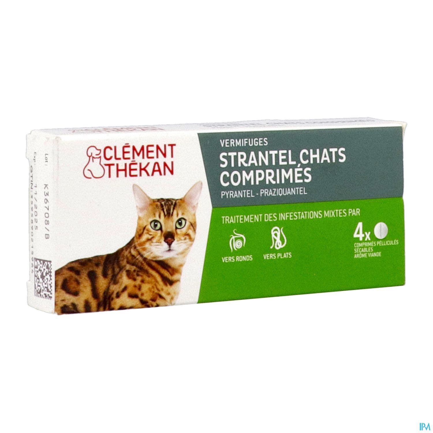 CLEM/THEK STRANTEL CHAT CPR 4