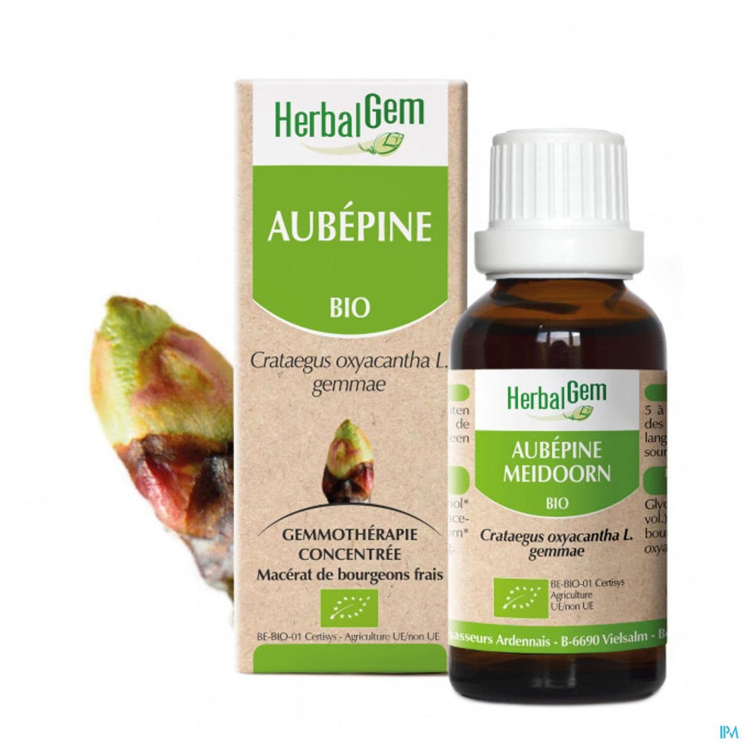 Herbalgem Aubepine Bourgeon Macerat Glyc Bio 30ml