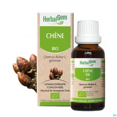 Herbalgem Chene Bourgeon Macerat Glycerin Bio 30ml