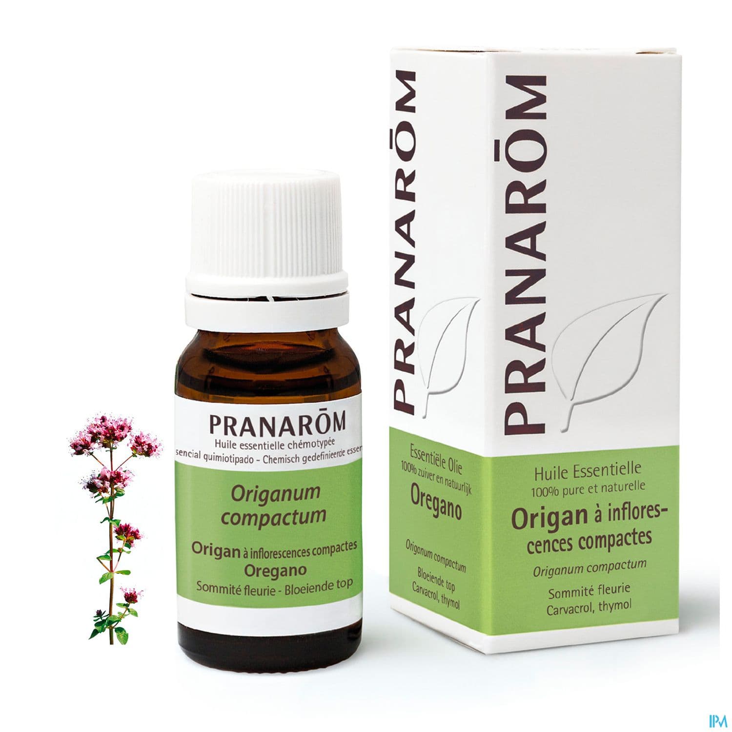 Pranarom Huile Essentielle Origan Inflorescences Compactes Sommite Fleurie 10ml