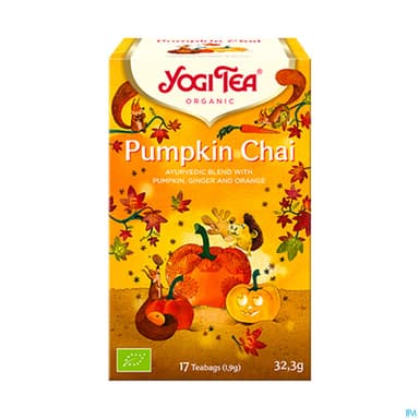 Yogi Tea Pumpkin Chai Bio Infusette 1g9 17