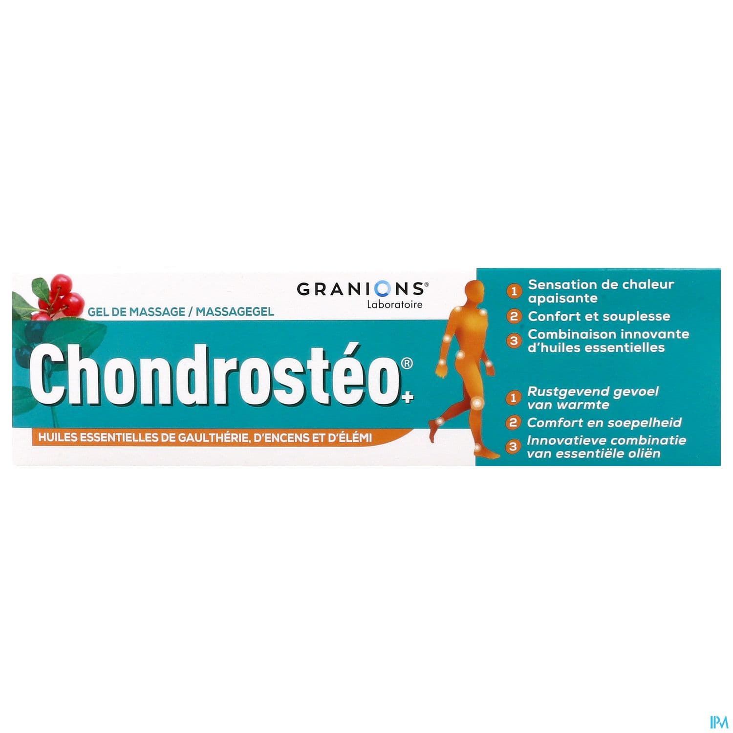 CHONDROSTEO + GEL MASS CONF MUSCUL T/100ML
