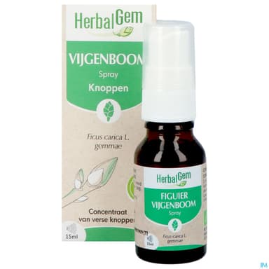 HERBALGEM FIGUIER BIO SPR 15ML