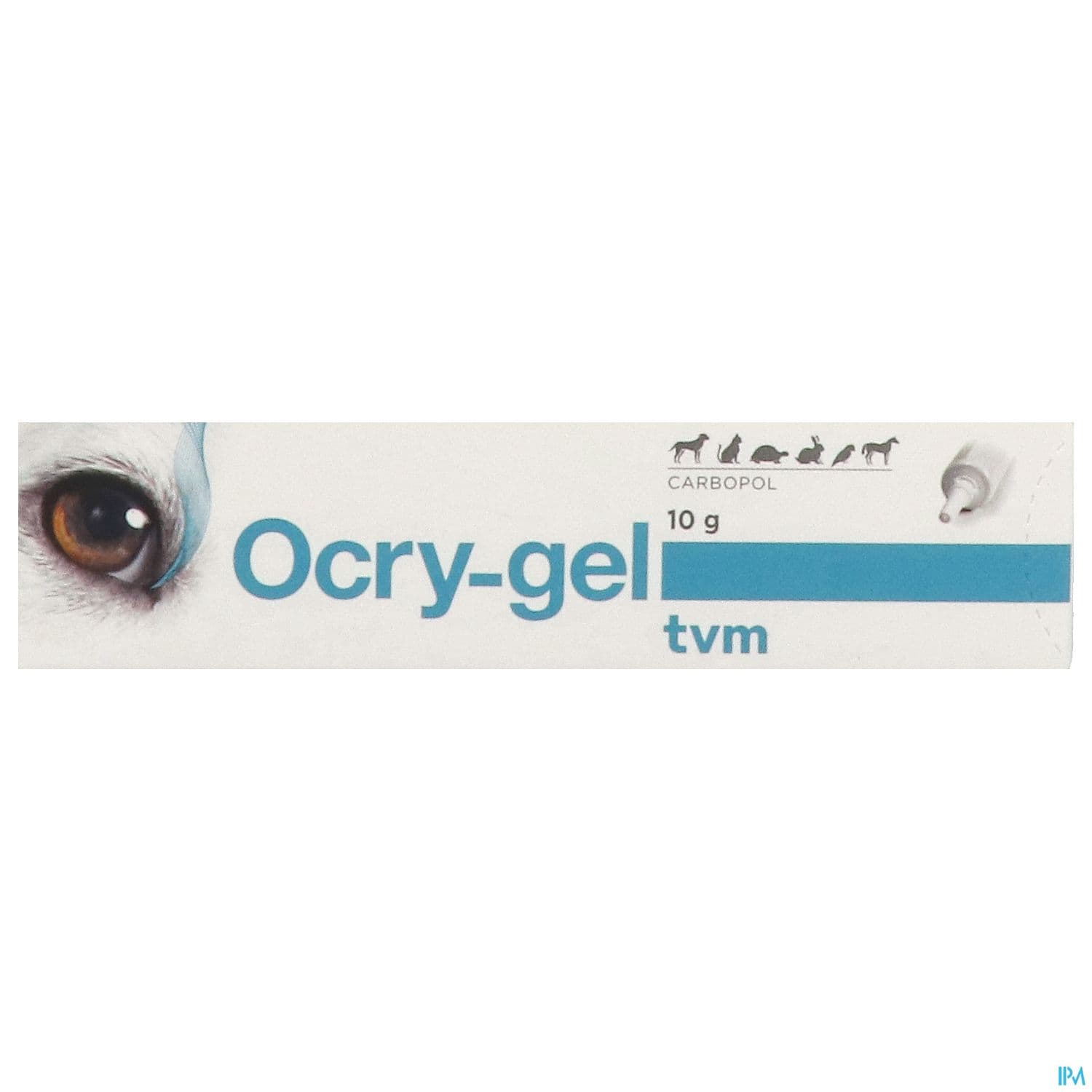 OCRYGEL GEL OCULAIRE TUB 10G