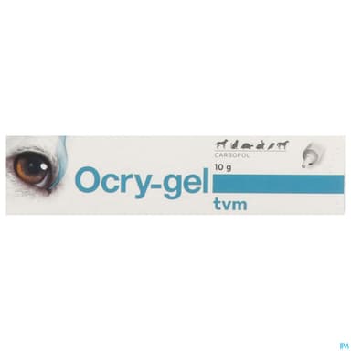 OCRYGEL GEL OCULAIRE TUB 10G