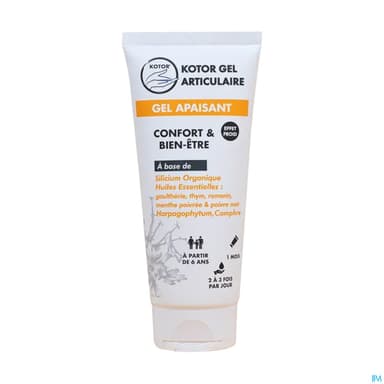 KOTOR GEL ARTICULAIRE APAIS 100ML