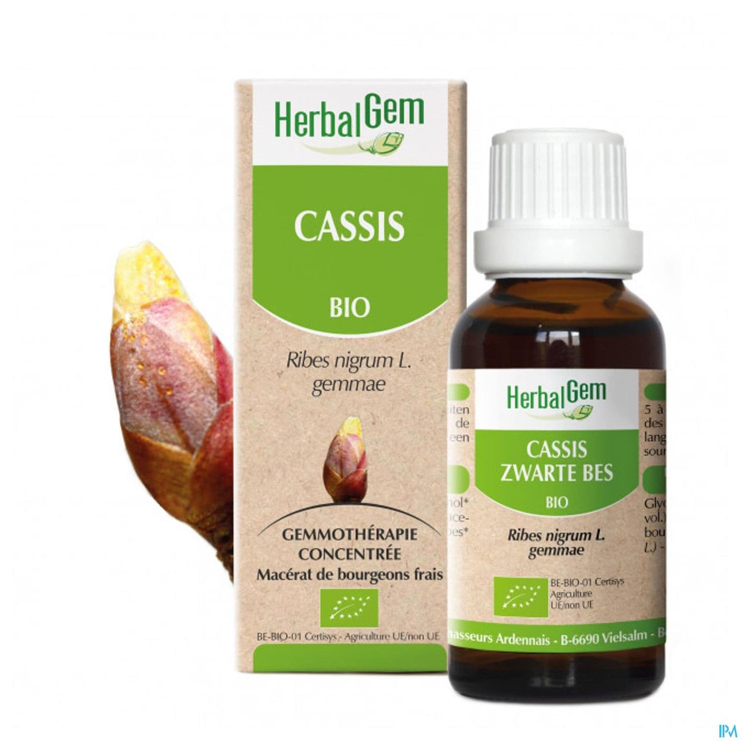 Herbalgem Cassis Bourgeon Macerat Glycerine Bio 30ml