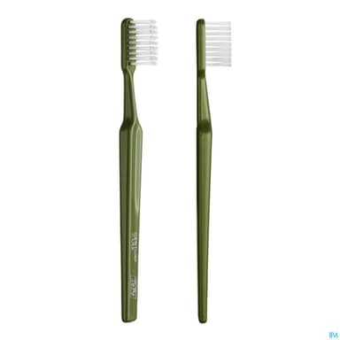 BDEN TEPE DENTURE BRUSH