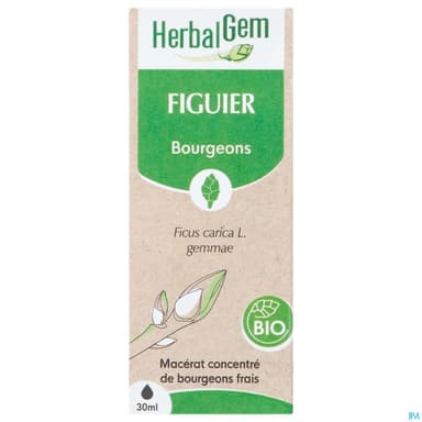 Herbalgem Figuier Bourgeon Macerat Glycer Bio 30ml