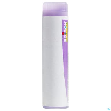 APIS MELLIFICA 30CH DO GL B