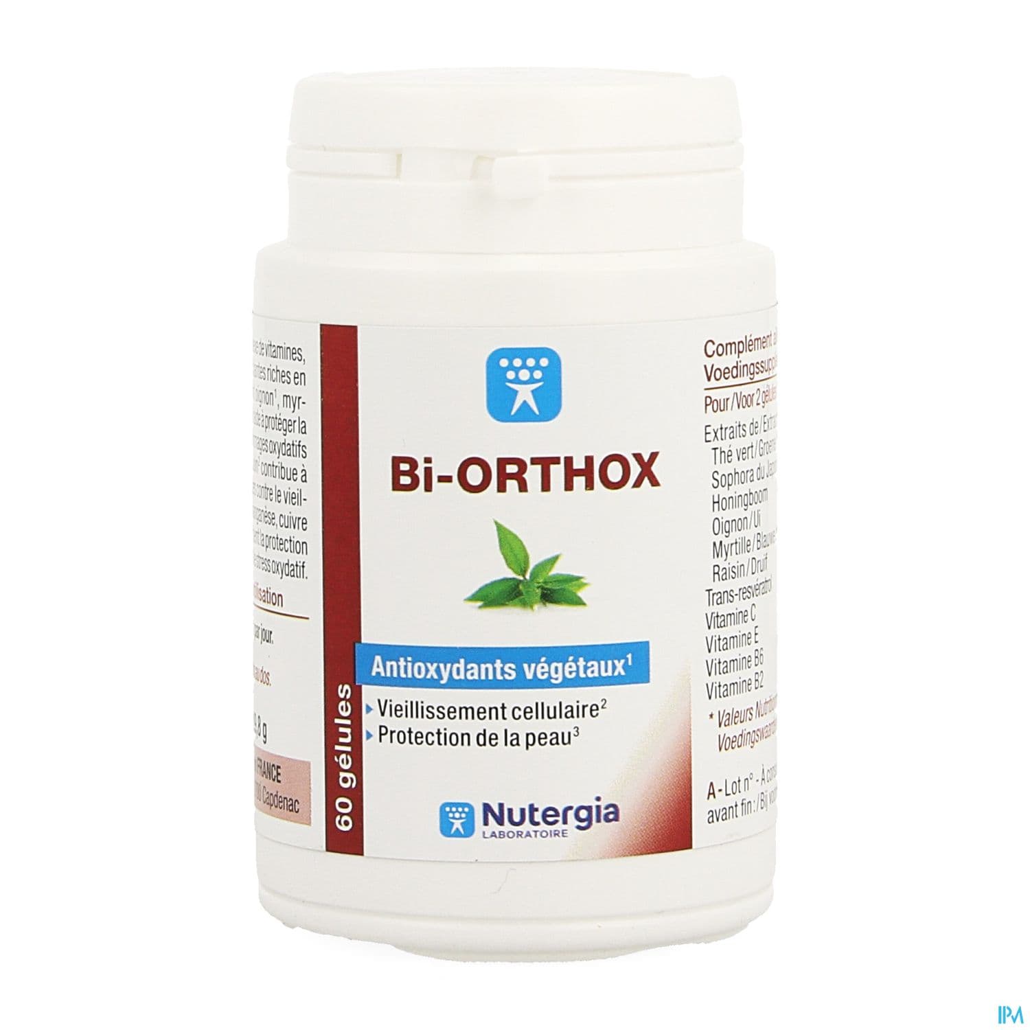 BI-ORTHOX GELUL 60