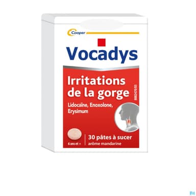 VOCADYS PATE 30