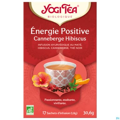 YOGI TEA ENERG POSITIV BIO SACH 17
