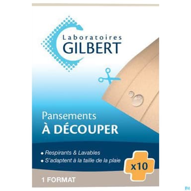 GILBERT PANS A DECOUPER X10