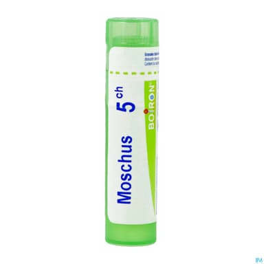 MOSCHUS 5CH TG B