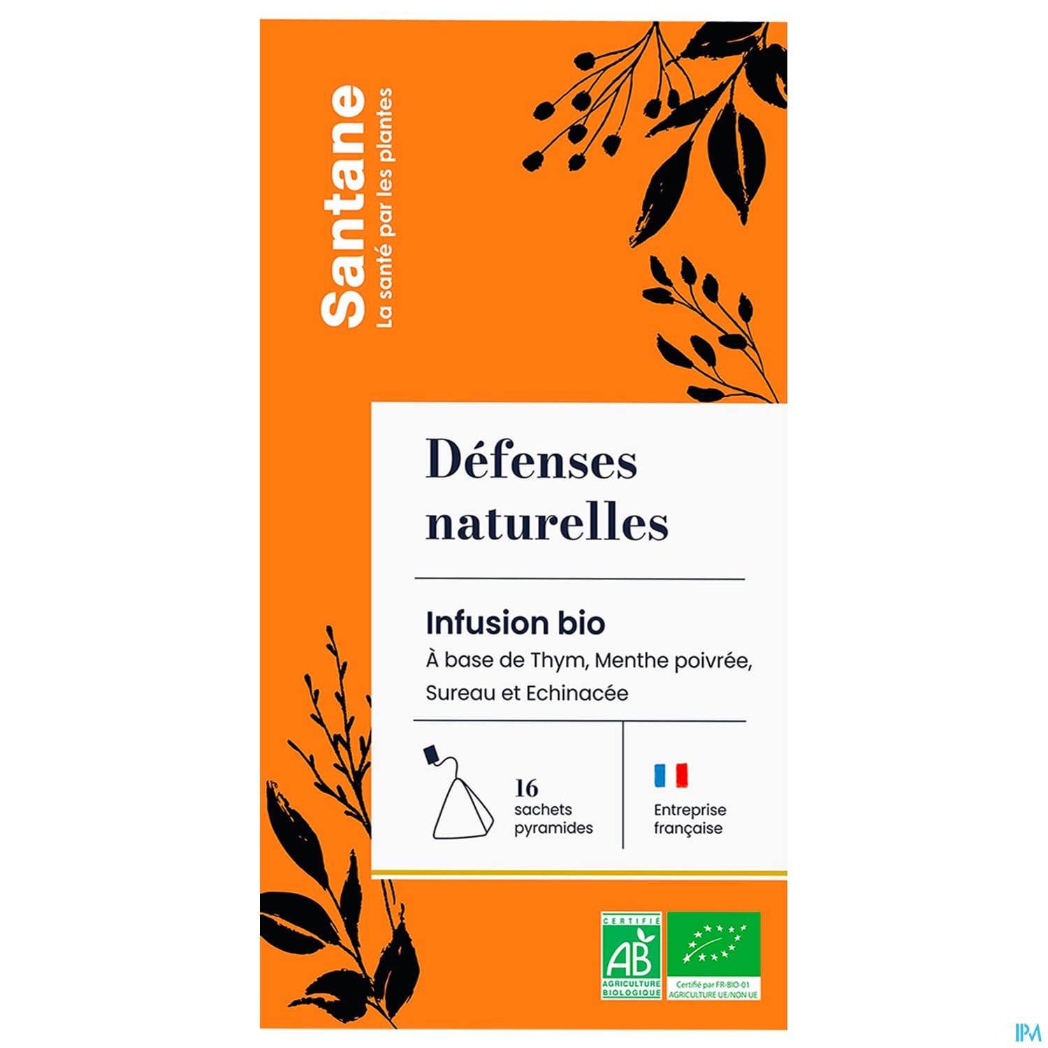 SANTANE DEFENSES NAT INF SACH 16