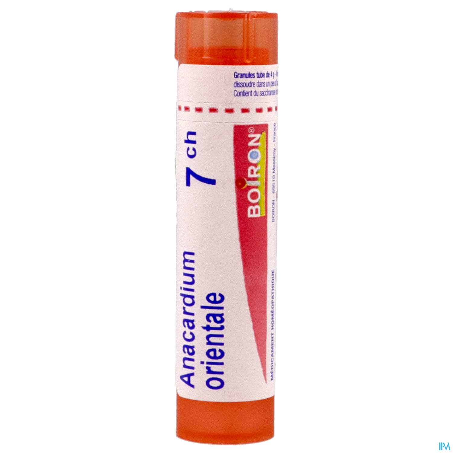 ANACARDIUM OR. 7CH TG B