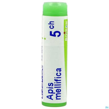 APIS MELLIFICA 5CH DO GL B