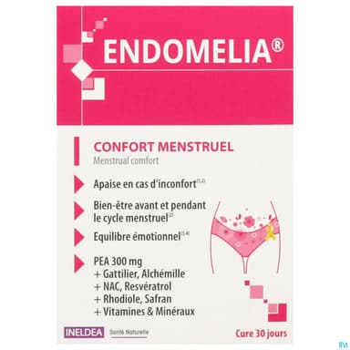 Ineldea Isn Endomelia Confort Menstruel Gelule 60