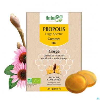 Herbalgem Propolis Gommes Bio 24