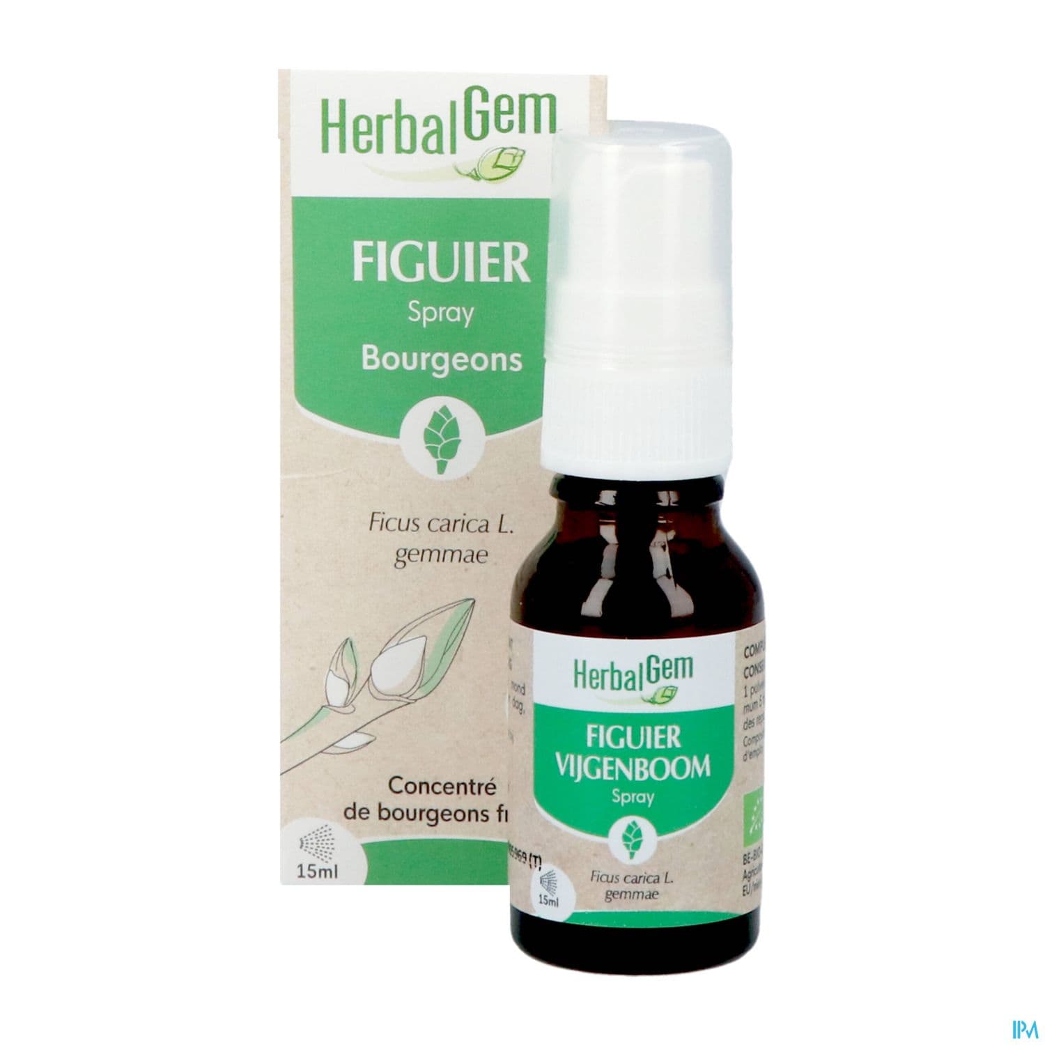 HERBALGEM FIGUIER BIO SPR 15ML