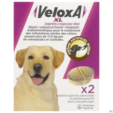 VELOXA XL CN CHIEN CPR A CROQ 2