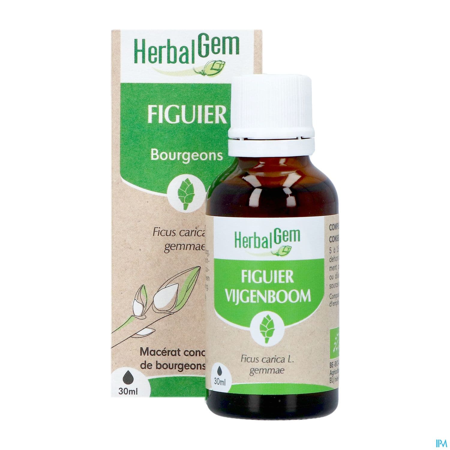 Herbalgem Figuier Bourgeon Macerat Glycer Bio 30ml