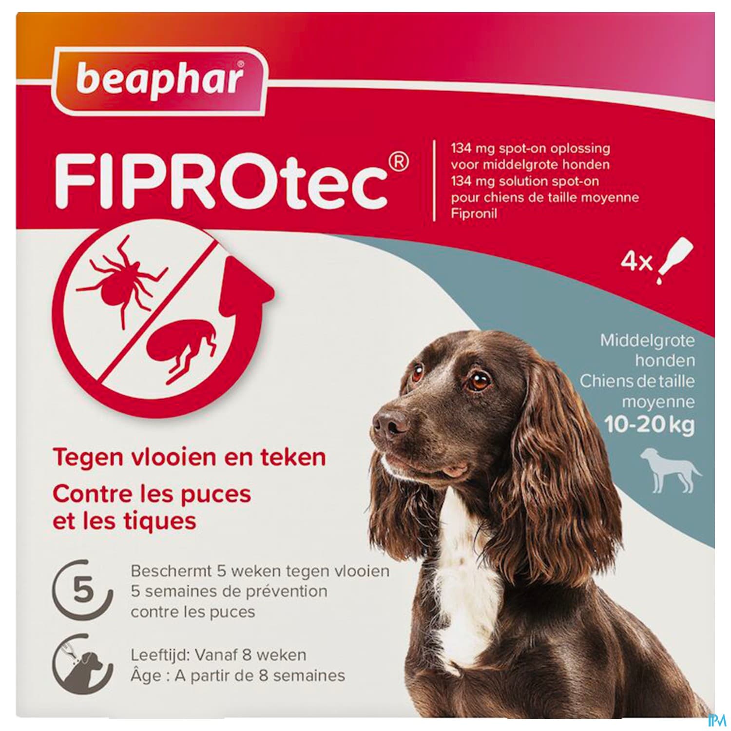 FIPROTEC 134MG SPOTON CHIEN MOY 4