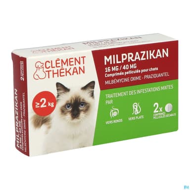 CLEM/THEK MILPRAZIKAN CHAT CPR 2