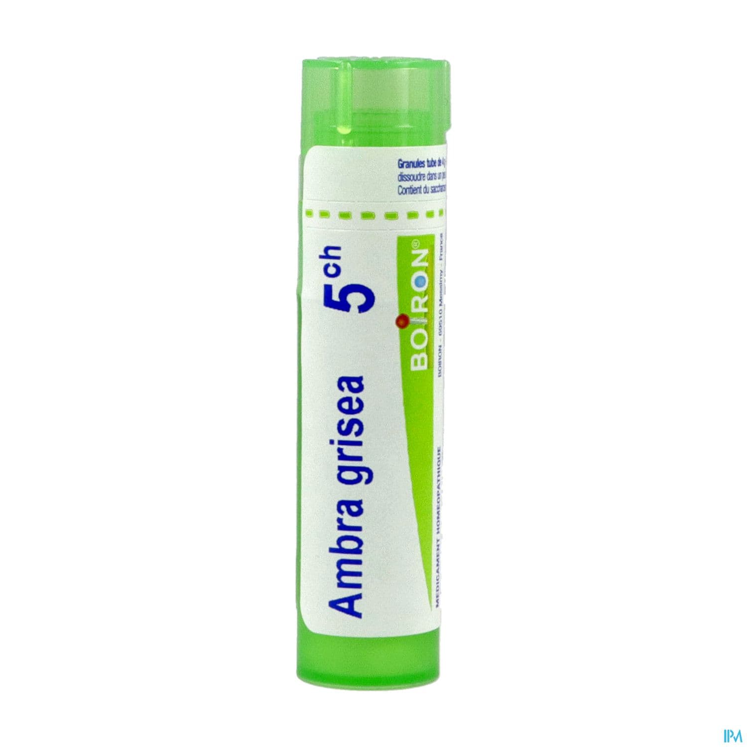 AMBRA GRISEA 5CH TG B