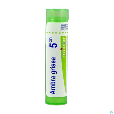 AMBRA GRISEA 5CH TG B