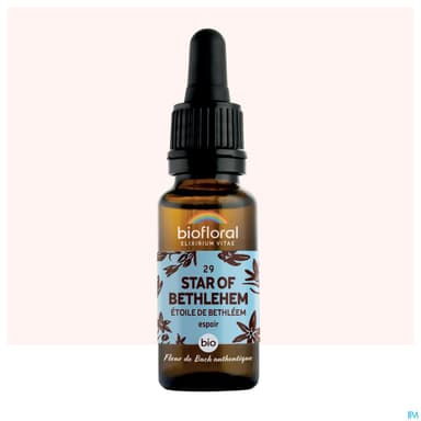 BIOFLORAL FLB29 STAROFBETHLEH 20ML
