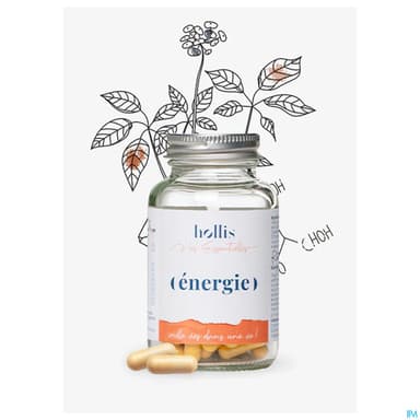 HOLLIS ENERGIE GELUL 60