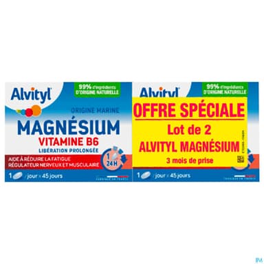 Alvityl Magnesium Vitamine B6 Comprime Liberation Prolongee 45 X2