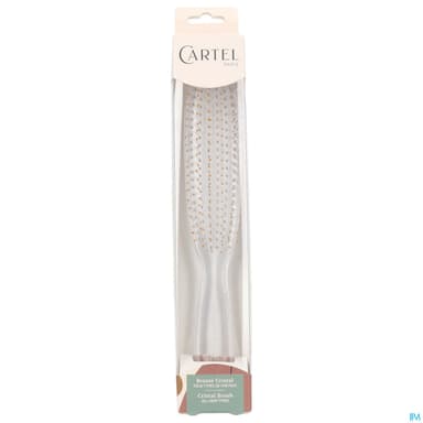 CARTEL BROSS CRIST SO CHIC ORAN GM
