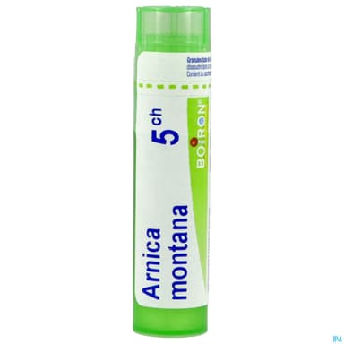ARNICA MONTANA 5CH TG B