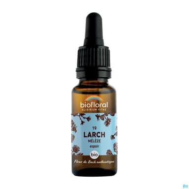 Biofloral 19 Larch. Meleze Compte Gouttes Bio Demeter 20ml