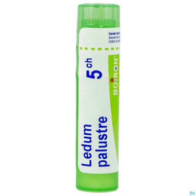 Boiron Ledum Palustre 5ch Granules 4g