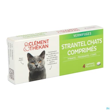 CLEM/THEK STRANTEL CHAT CPR 4