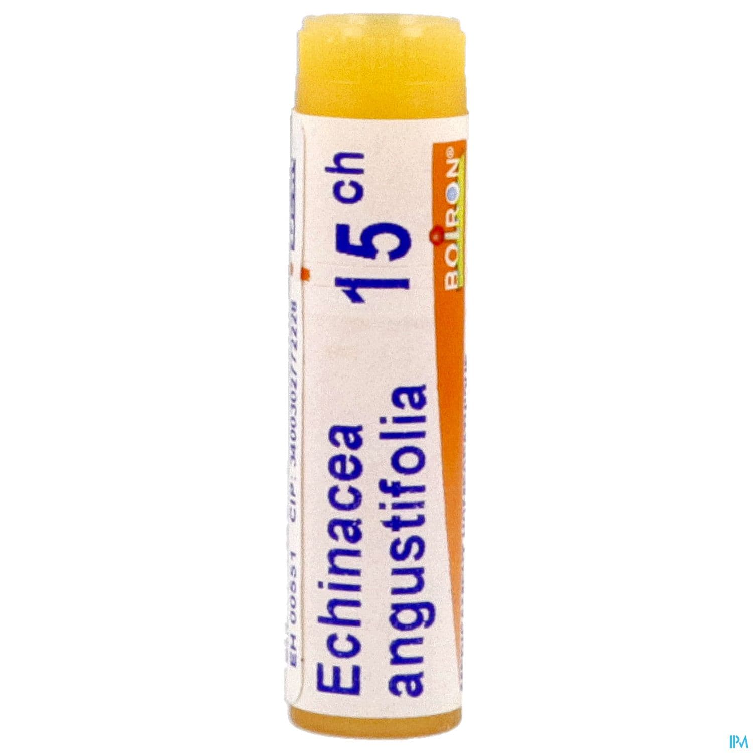 ECHINACEA ANGUS. 15CH DO GL B