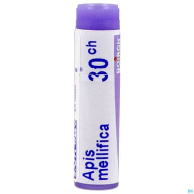 APIS MELLIFICA 30CH DO GL B