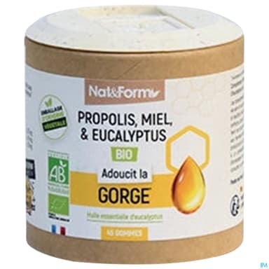 Nat Et Form Propolis Gommes Bio 45