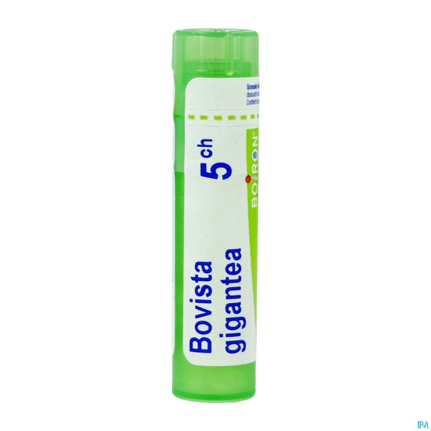 BOVISTA GIGANTEA 5CH TG B