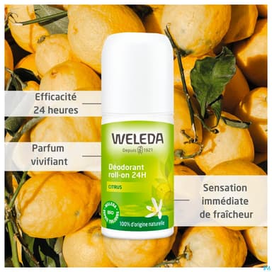 WELEDA DEOD24H CITRUS ROLLON50MLX2