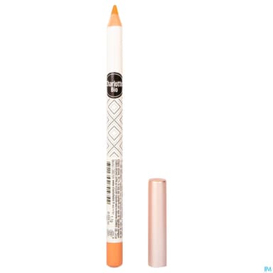 Charlotte Bio Crayon Yeux Dore Brillant 1g1