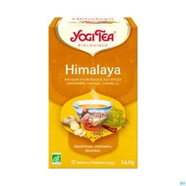 Yogi Tea Himalaya Bio Infusette 2g 17