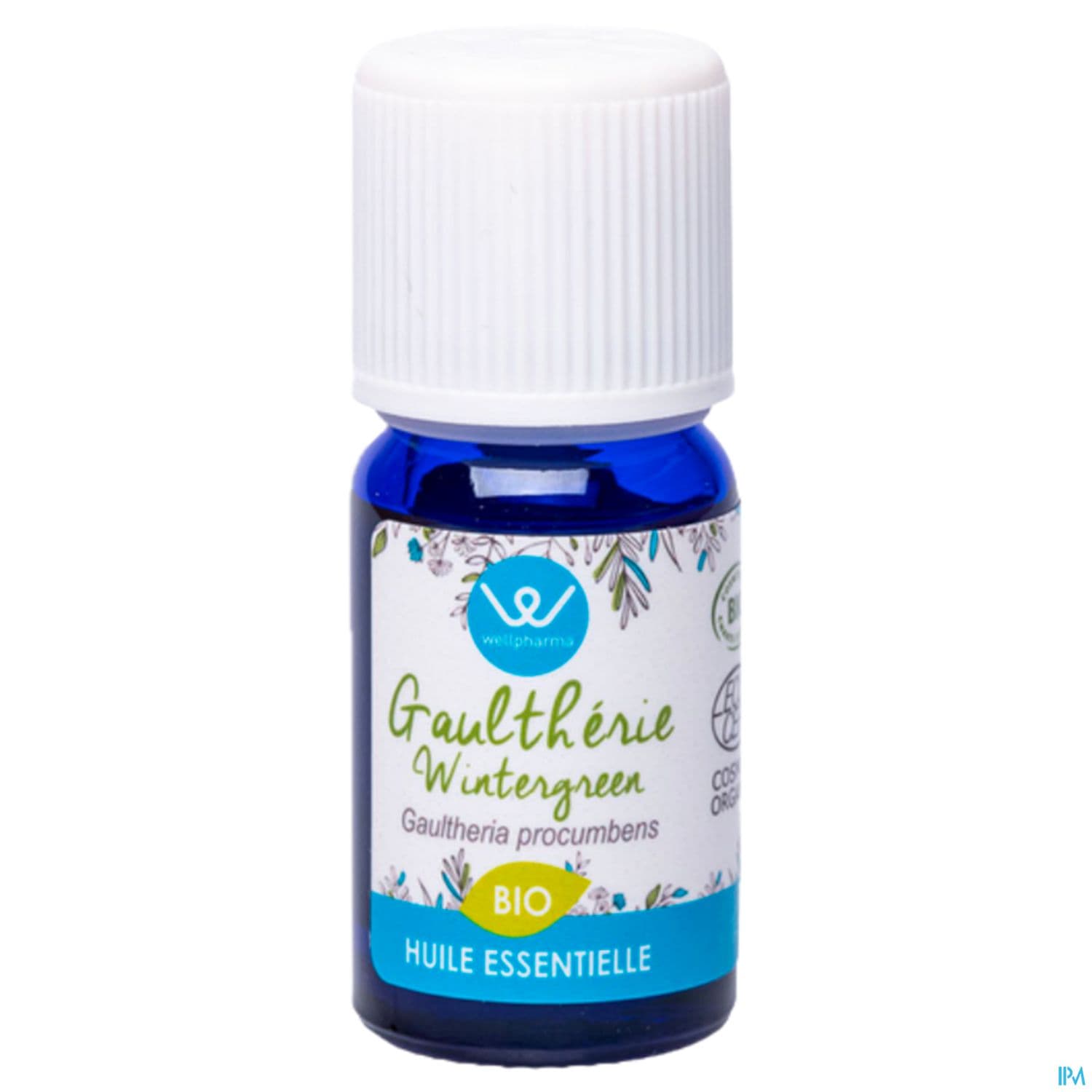 WELLPHARMA HE GAULTHERIE BIO 10ML