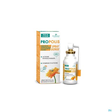 3 CHENES PROPOLIS BUC SPRAY25ML