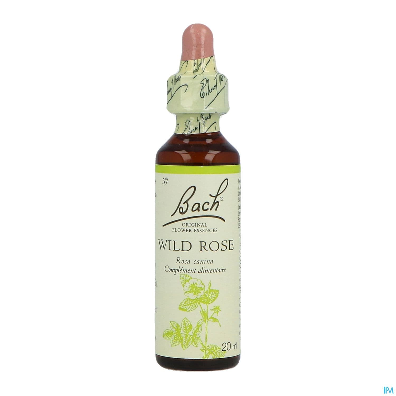 Fleurs De Bach Original 37 Wild Rose Compte Gouttes 20ml